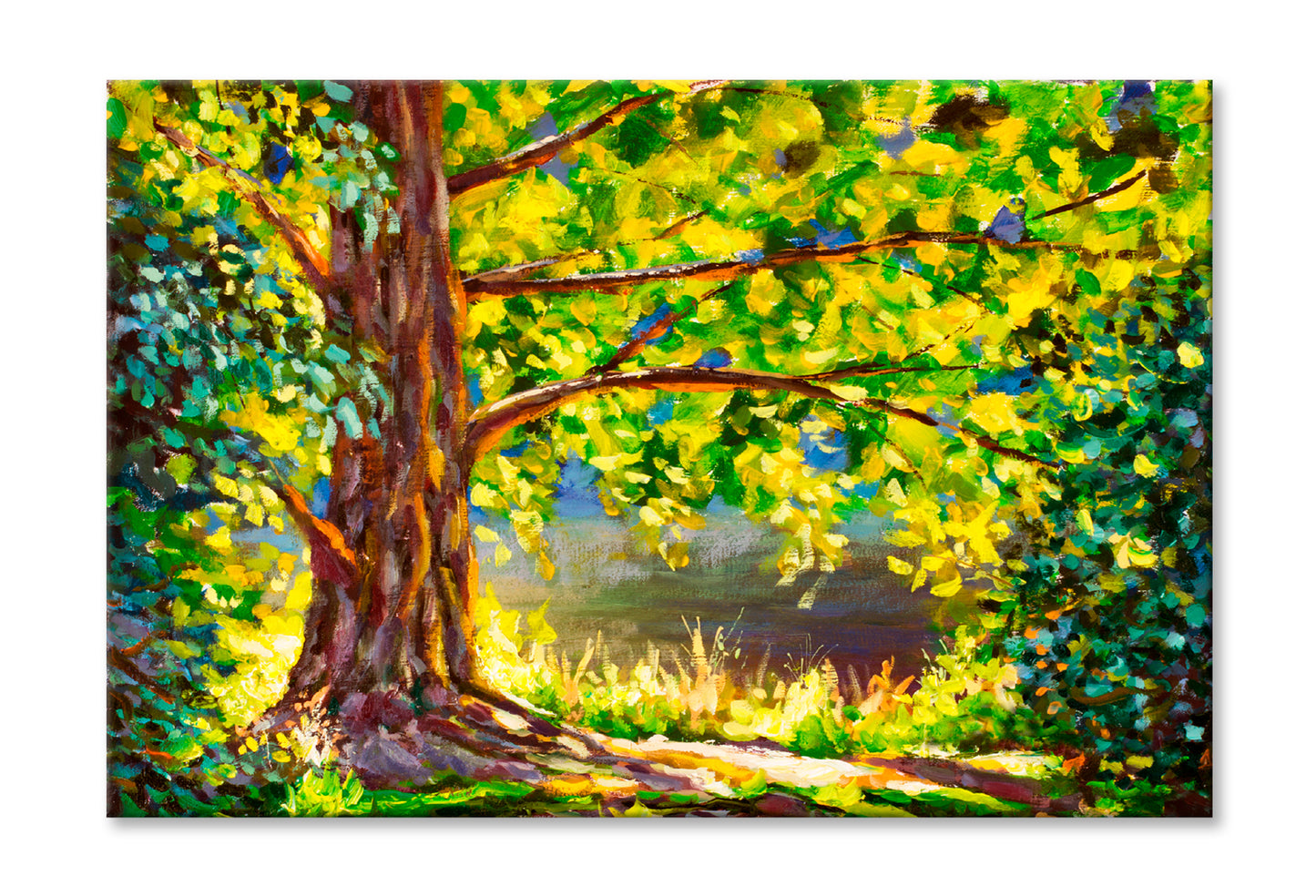 A Large Tree Lit By Sun & Sunny Forest Oil Painting Limited Edition High Quality Print Stretched Canvas None