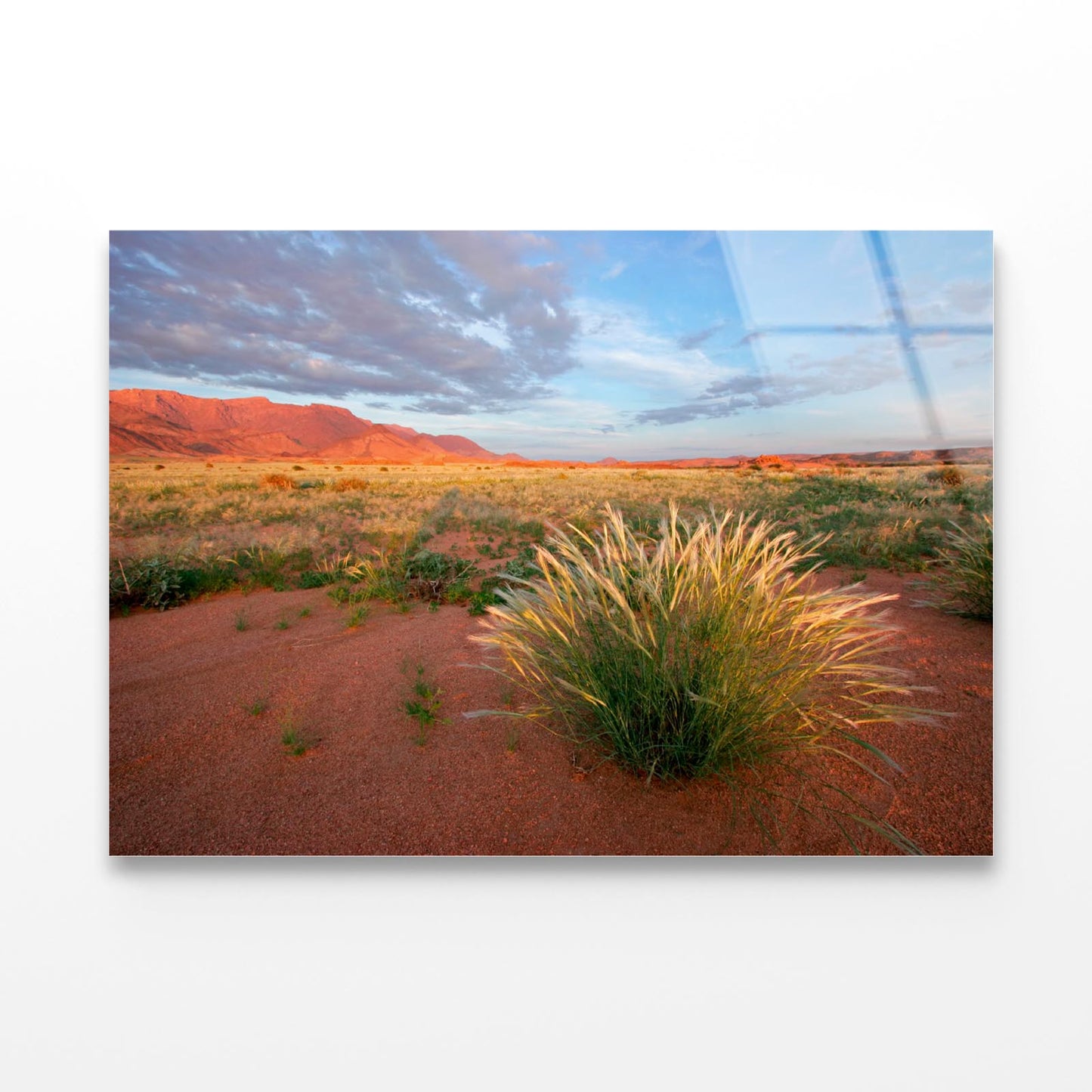 Grassland Landscape with Mountains Acrylic Glass Print Tempered Glass Wall Art 100% Made in Australia Ready to Hang