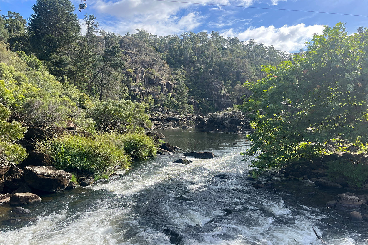 Cataract Gorge Reserve Launceston Tasmania Wall Art Decor 100% Australian Made