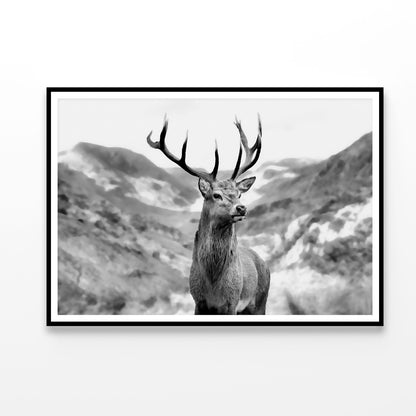 Black & white Deer Decor Premium Quality Poster Print Choose Your Sizes