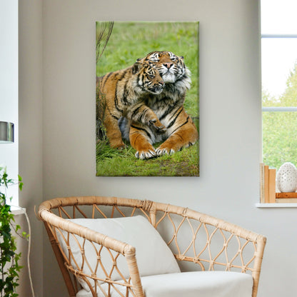 Sumatran Tiger Female with Cub Wild Animals Wall Art Decor 100% Australian Made