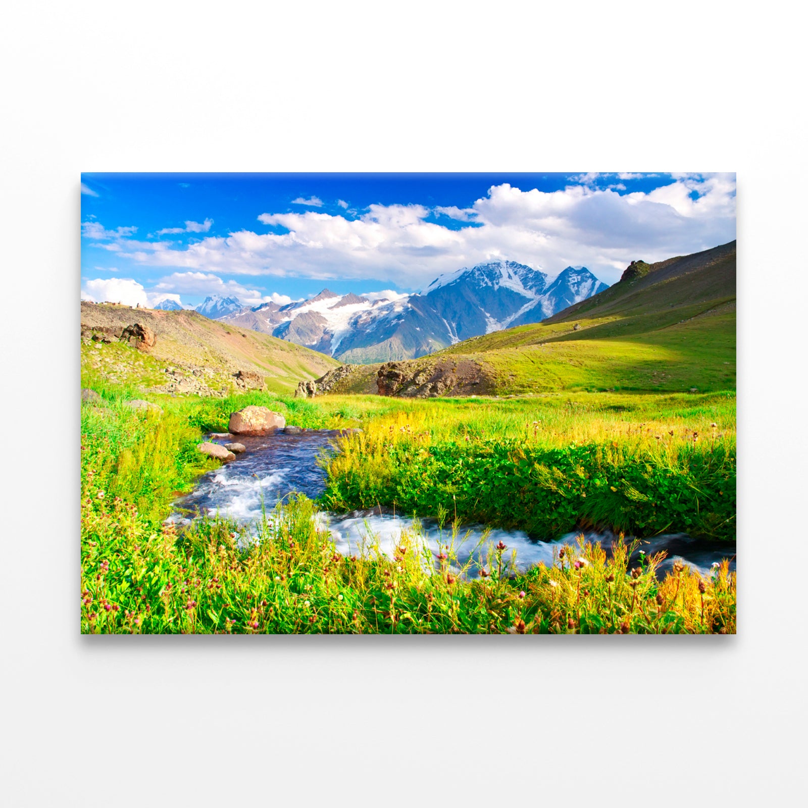River in Meadow near Mountains  Wall Art Decor 100% Australian Made - Bella Home Decor