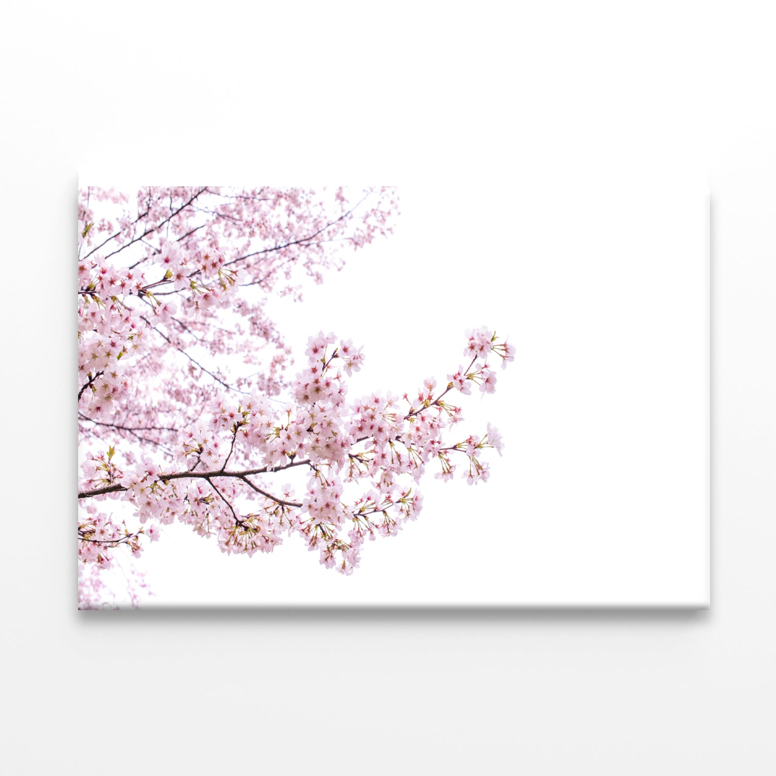 Branch of Pink Cherry Blossom Print 100% Australian Made - Bella Home Decor