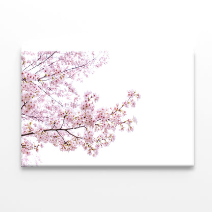 Branch of Pink Cherry Blossom Print 100% Australian Made - Bella Home Decor