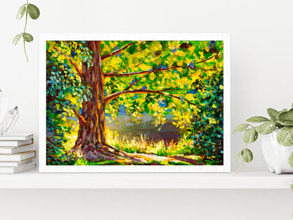 A Large Tree Lit By Sun & Sunny Forest Glass Framed Wall Art, Ready to Hang Quality Print Without White Border White