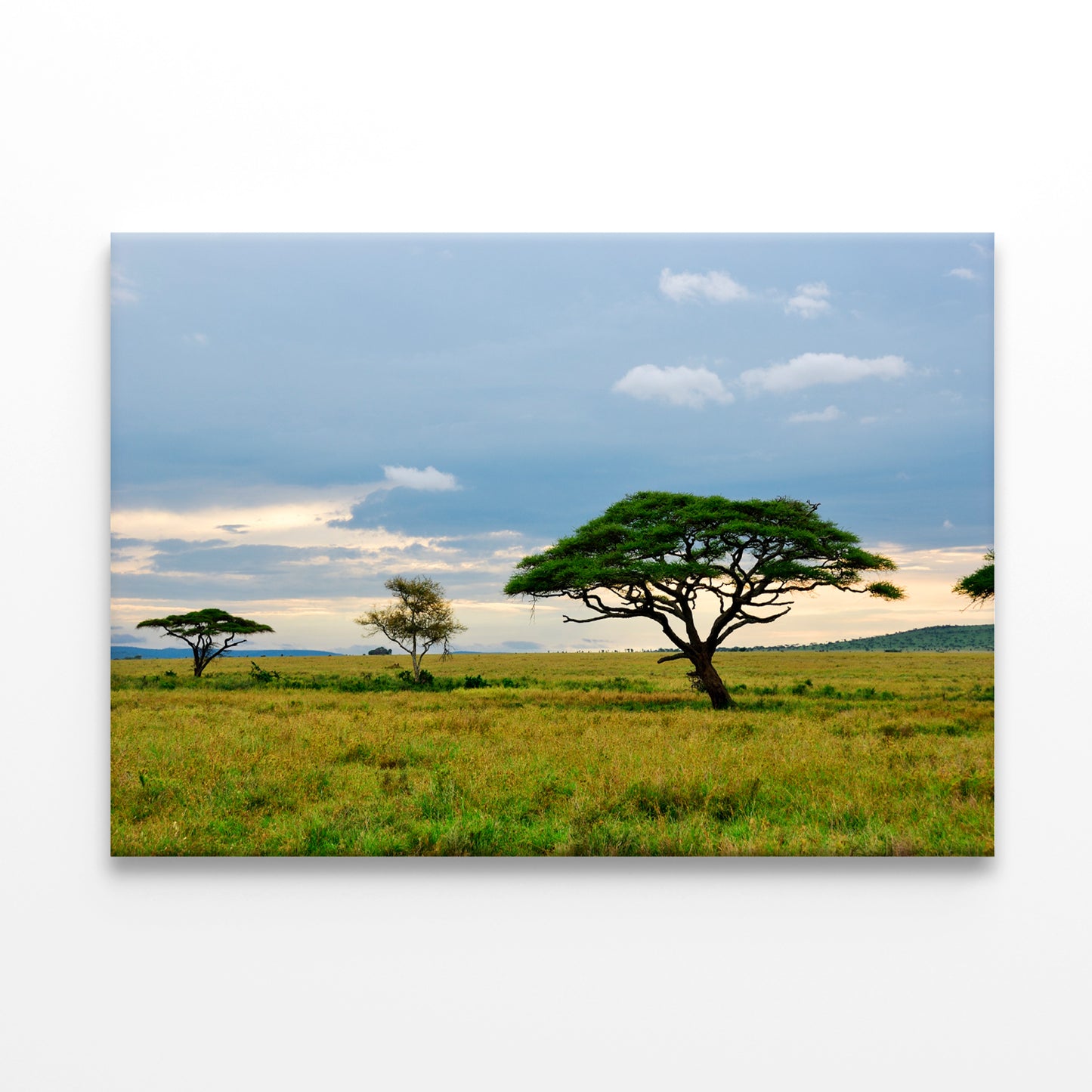 National Park with Mountains Tanzania Africa Print 100% Australian Made
