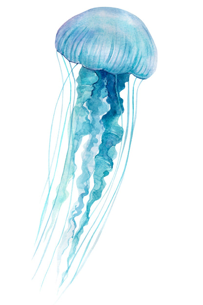 Blue Watercolor Jellyfish Sea Life 60x90cm Metal Print Ready to Hang