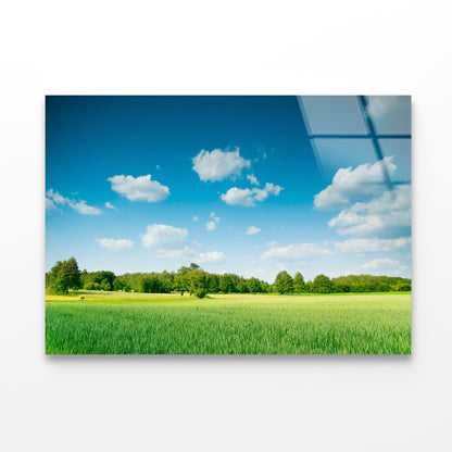 A Large Green Field with Trees under a Blue Sky Acrylic Glass Print Tempered Glass Wall Art 100% Made in Australia Ready to Hang