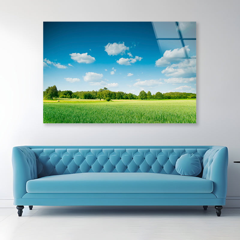 A Large Green Field with Trees under a Blue Sky Acrylic Glass Print Tempered Glass Wall Art 100% Made in Australia Ready to Hang