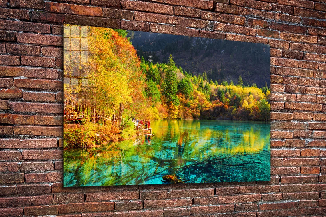 Autumn Nature Scenery UV Direct Aluminum Print Australian Made Quality