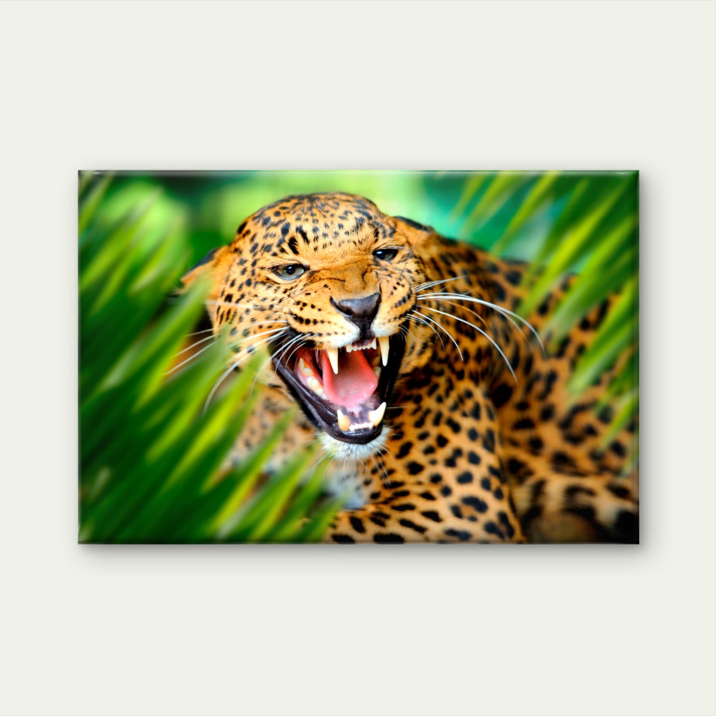 Snarling African Leopard in Tropical Leaf Wall Art Decor 100% Australian Made
