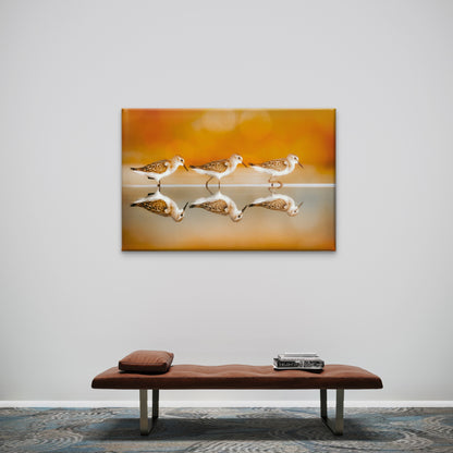 Western Sandpiper Birds Water Reflection Art Wall Art Decor 100% Australian Made - Bella Home Decor