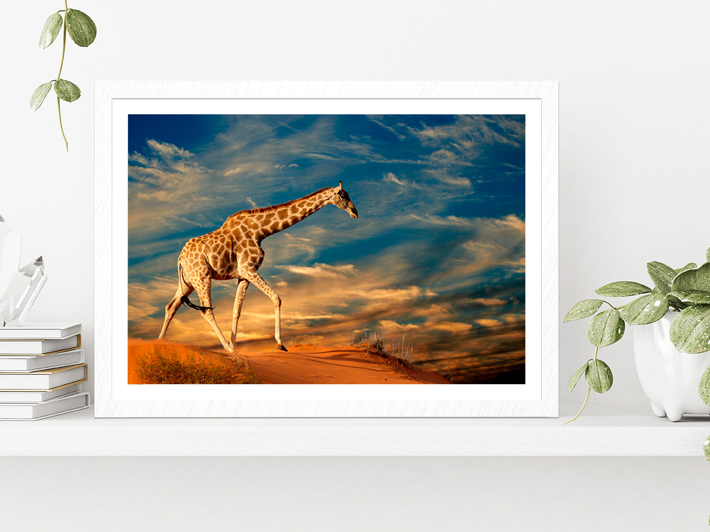 Giraffe Walking On A Sand Dune Glass Framed Wall Art, Ready to Hang Quality Print With White Border White