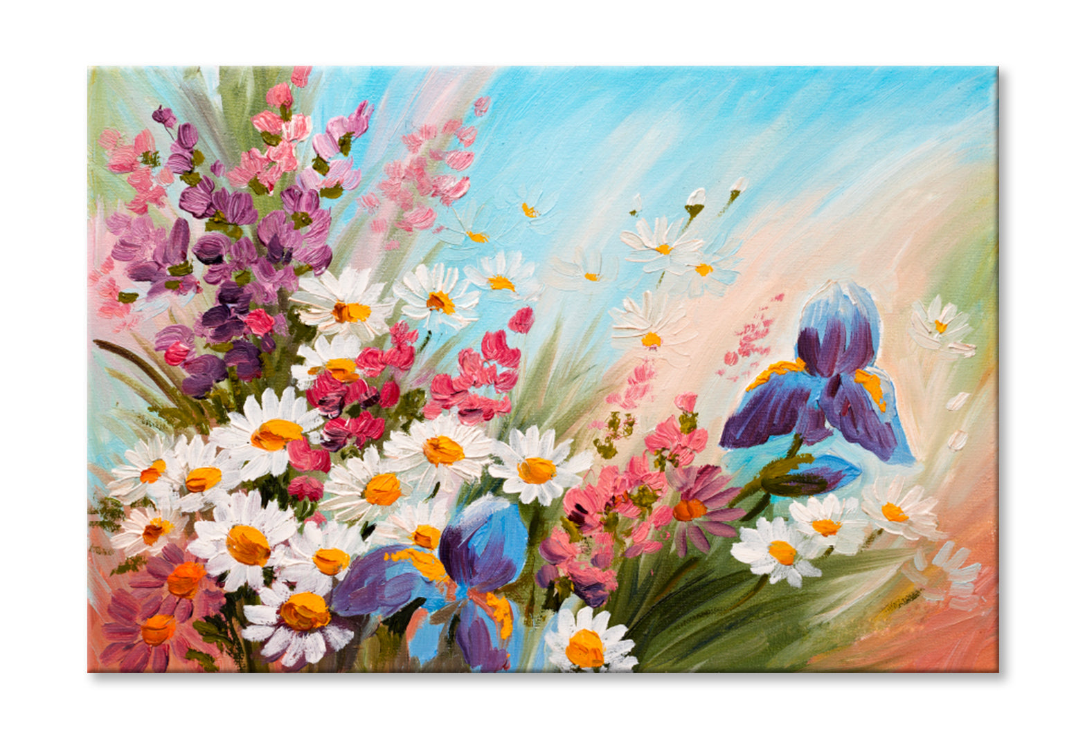 Abstract Illustration of Flowers, Daisies Oil Painting Wall Art Limited Edition High Quality Print Stretched Canvas None