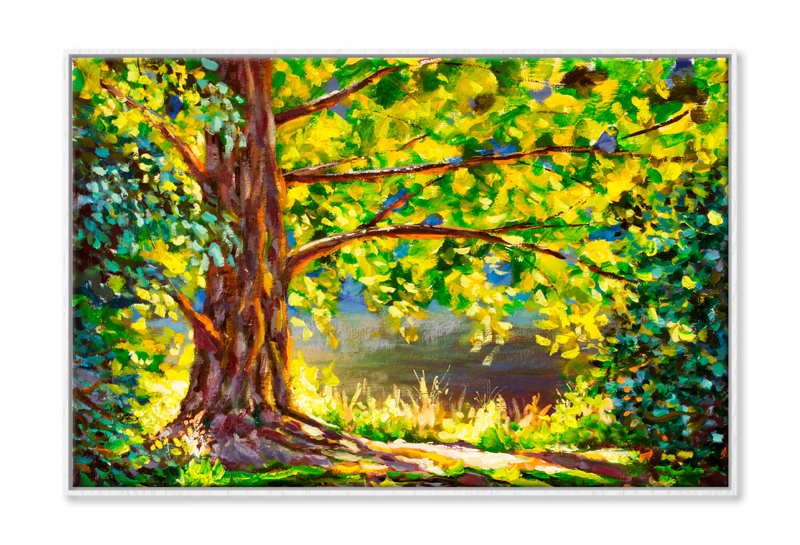 A Large Tree Lit By Sun & Sunny Forest Oil Painting Limited Edition High Quality Print Canvas Box Framed White