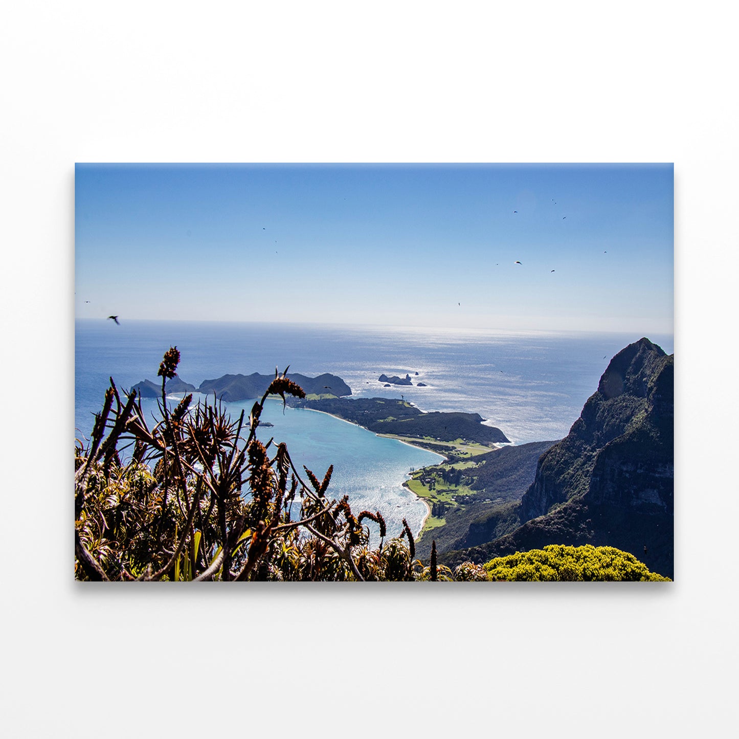 Lord Howe Island NSW Mount Gower Ocean View Wall Art Decor 100% Australian Made