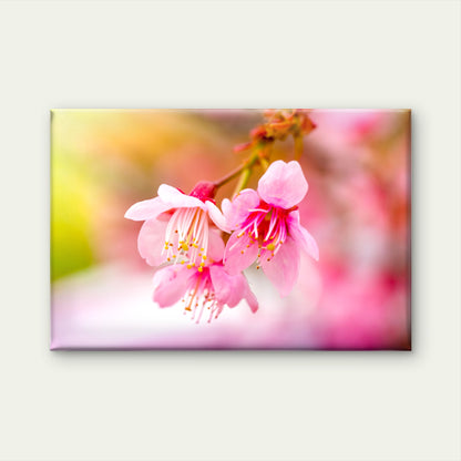 Japanese Pink Cherry Blossoms Wall Art Decor 100% Australian Made - Bella Home Decor