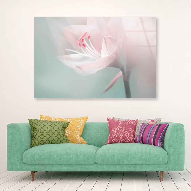 Single Dreamy Surreal White Flower Acrylic Glass Print Tempered Glass Wall Art 100% Made in Australia Ready to Hang - Bella Home Decor