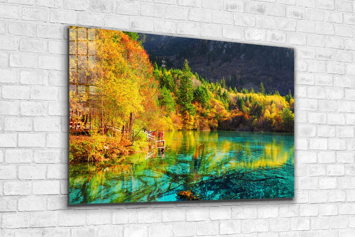 Autumn Nature Scenery UV Direct Aluminum Print Australian Made Quality