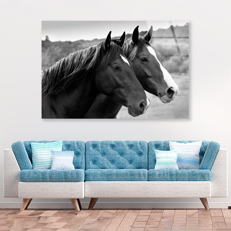 Two Horses in A Meadow Acrylic Glass Print Tempered Glass Wall Art 100% Made in Australia Ready to Hang