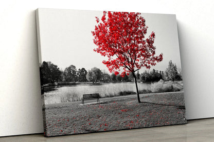 Large Red tree black white UV Direct Aluminum Print Australian Made Quality