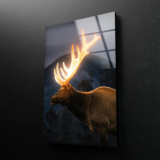Deer with Shiny Antler UV Direct Aluminum Print Australian Made Quality