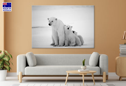 Black and Snowy Polar She-bear with Cubs Wall Art Decor 100% Australian Made