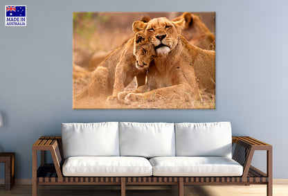 Predator’s Love Lioness and Cub South Africa Wall Art Decor 100% Australian Made
