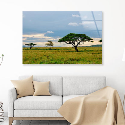 National Park with Mountains Tanzania Africa Acrylic Glass Print Tempered Glass Wall Art 100% Made in Australia Ready to Hang