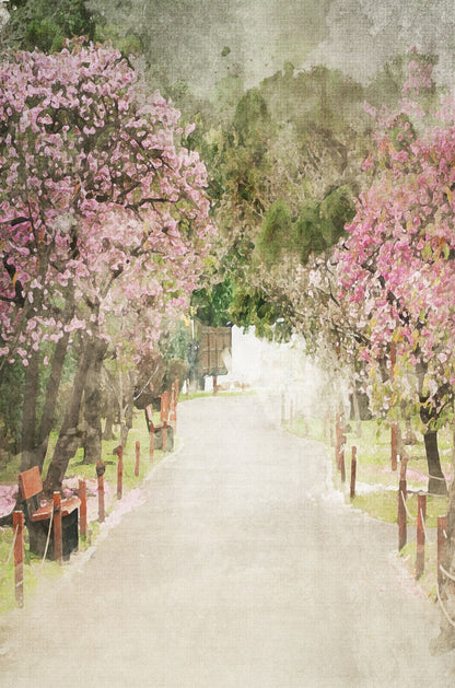 Pink Cherry Blossom Park Path 60x90cm Metal Print Ready to Hang - Bella Home Decor