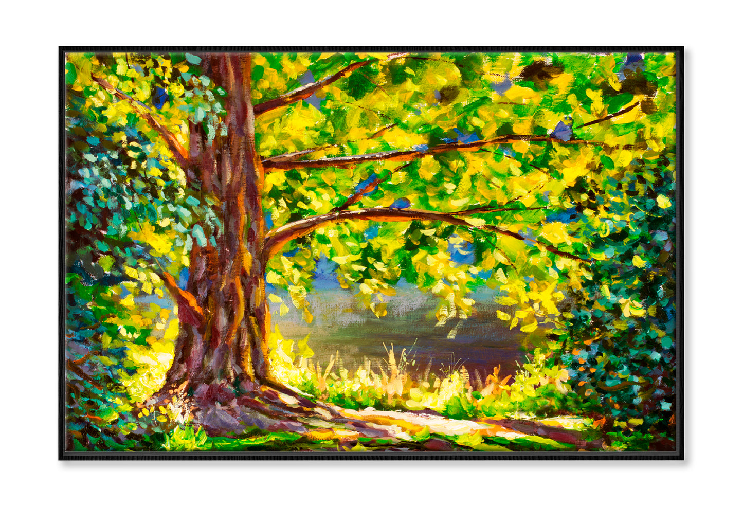 A Large Tree Lit By Sun & Sunny Forest Oil Painting Limited Edition High Quality Print Canvas Box Framed Black