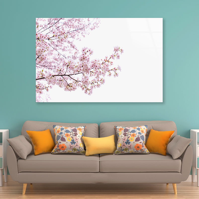 Branch of Pink Cherry Blossom Acrylic Glass Print Tempered Glass Wall Art 100% Made in Australia Ready to Hang - Bella Home Decor