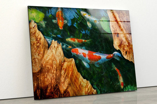 Koi Fish Pond Acrylic UV Direct Aluminum Print Australian Made Quality