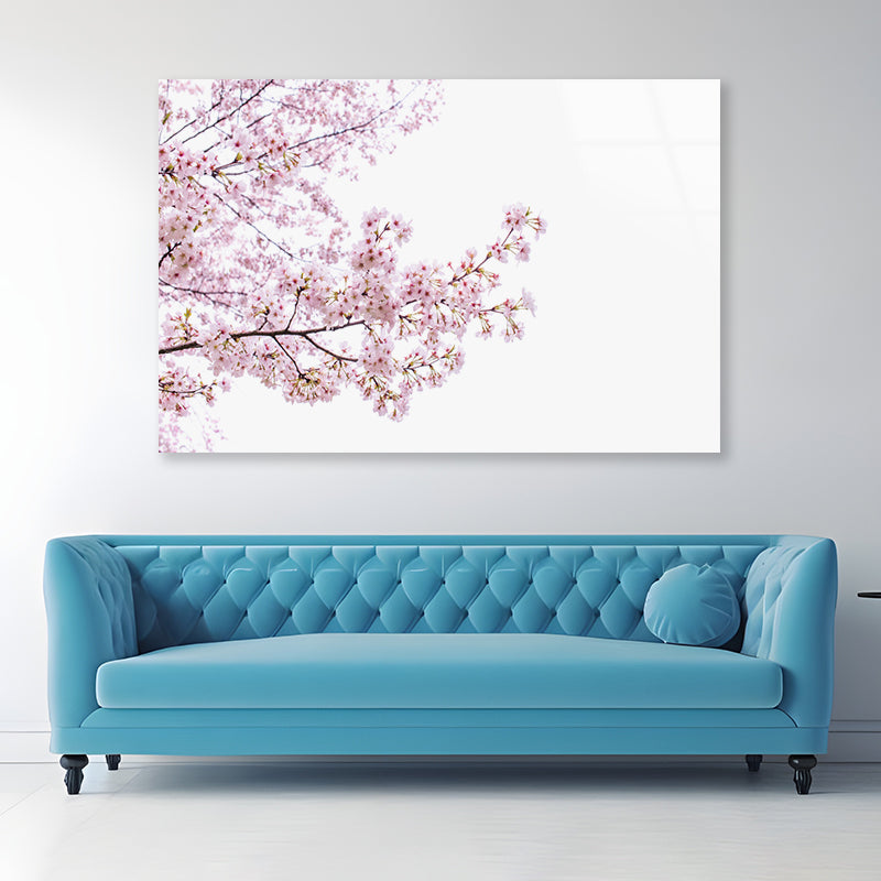 Branch of Pink Cherry Blossom Acrylic Glass Print Tempered Glass Wall Art 100% Made in Australia Ready to Hang - Bella Home Decor