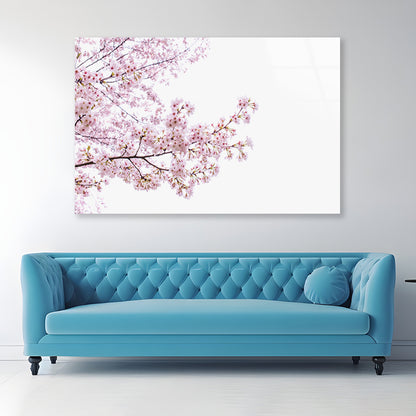Branch of Pink Cherry Blossom Acrylic Glass Print Tempered Glass Wall Art 100% Made in Australia Ready to Hang - Bella Home Decor