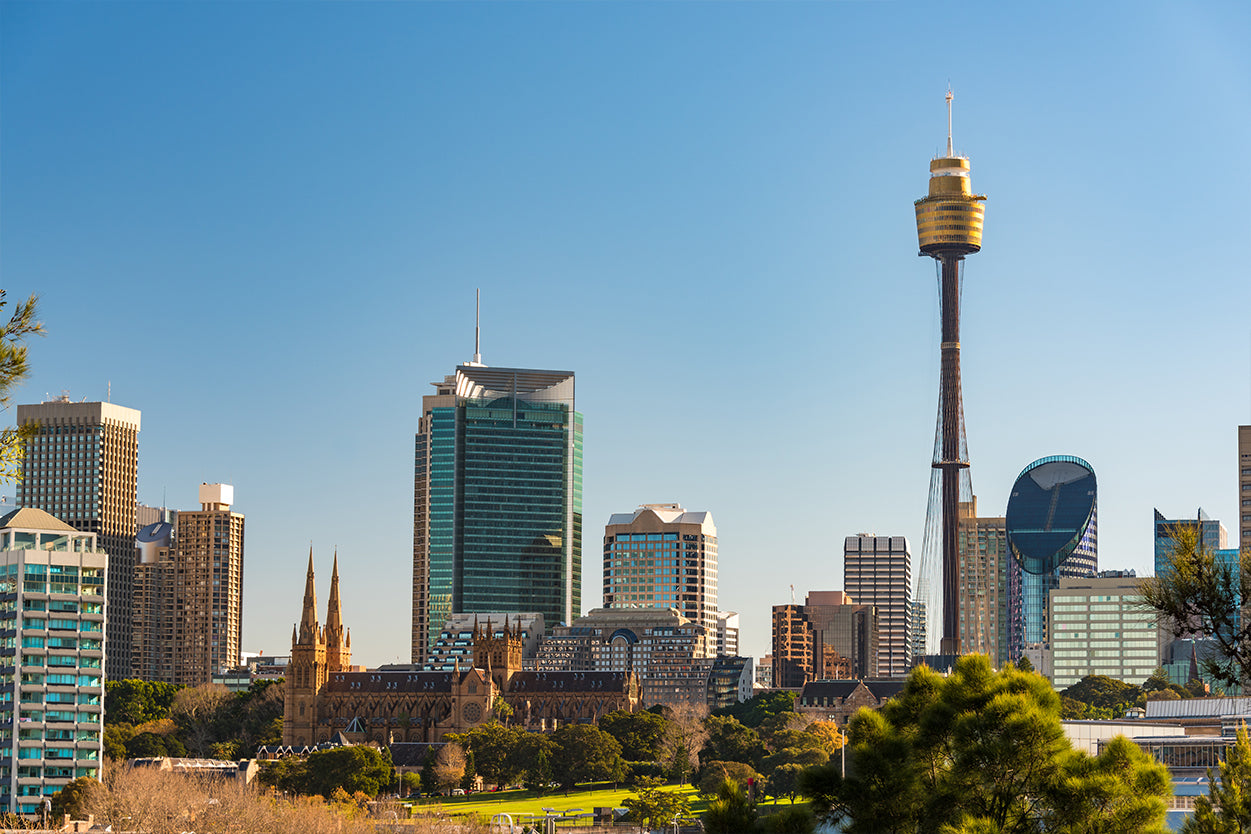 Sydney Tower New South Wales Panoramic CBD Wall Art Decor 100% Australian Made