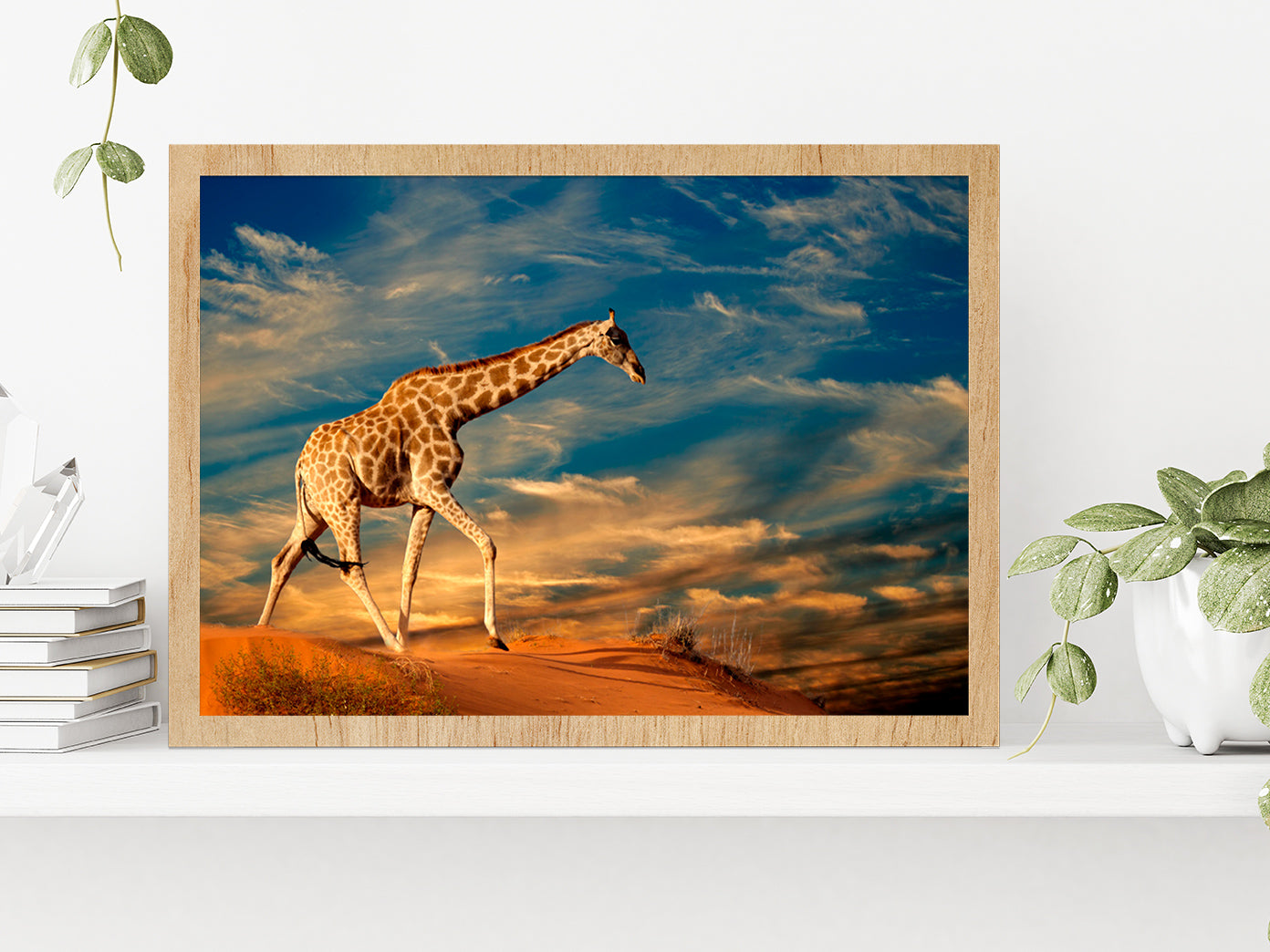 Giraffe Walking On A Sand Dune Glass Framed Wall Art, Ready to Hang Quality Print Without White Border Oak