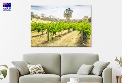 Scenic Barossa Valley Landscape South Australia Wall Art Decor 100% Australian Made - Bella Home Decor