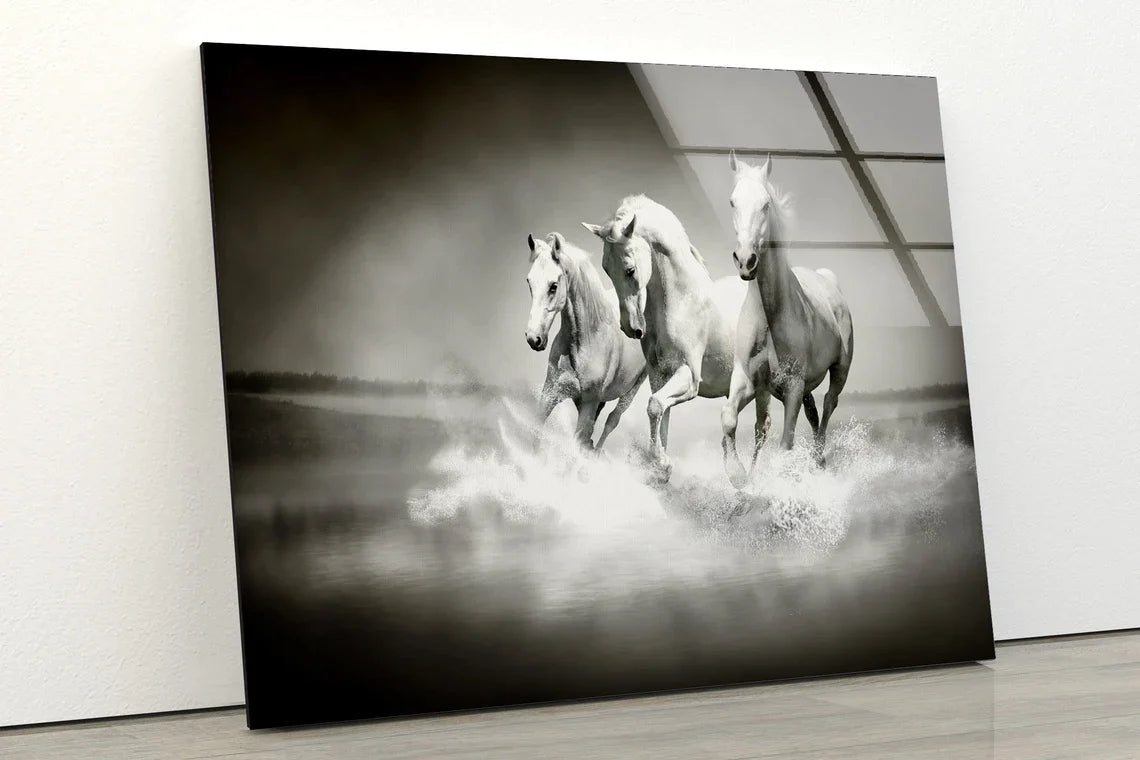 Horses Running B&W View UV Direct Aluminum Print Australian Made Quality