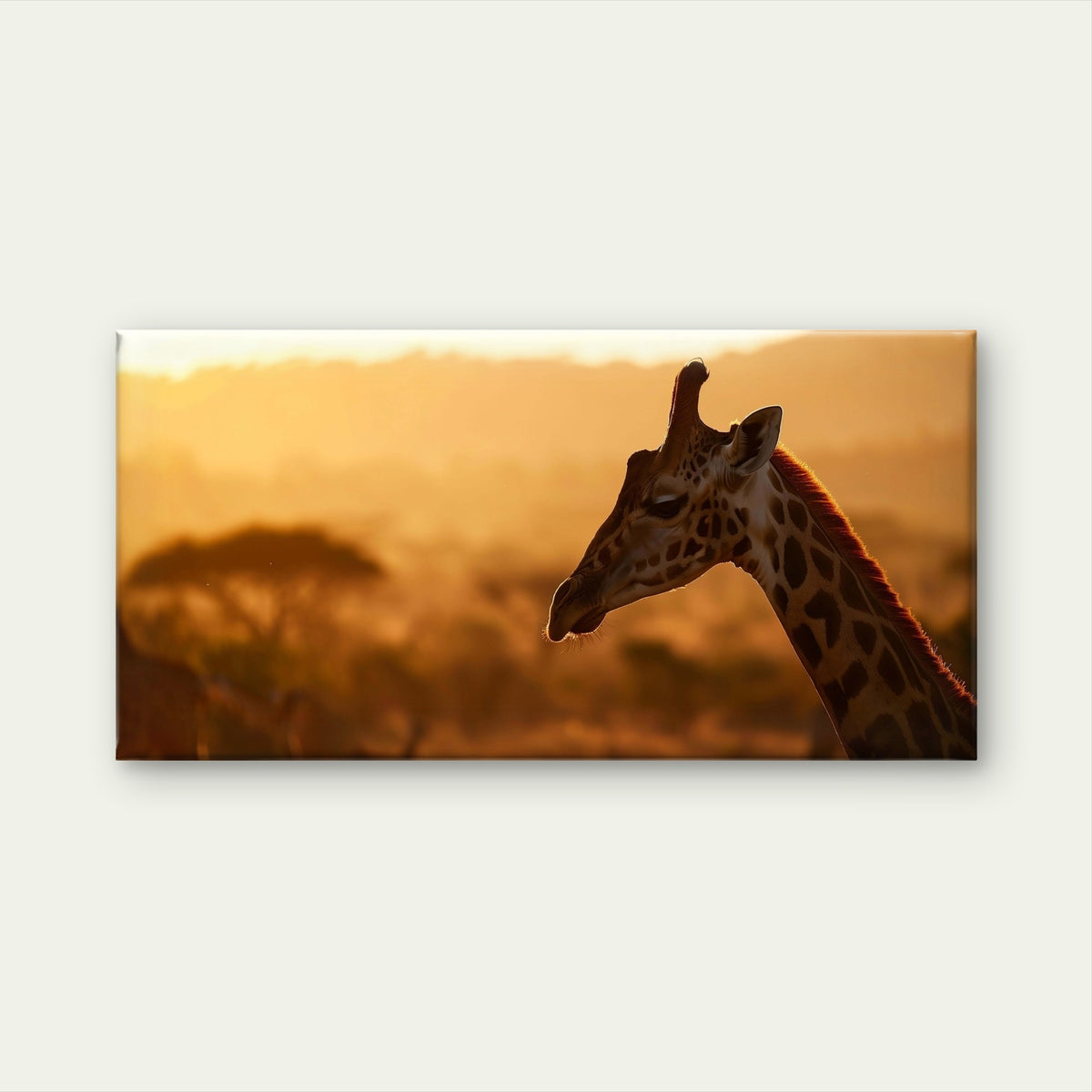 African Giraffe Sunset Wildlife Wall Art Canvas Office Home Framed 120x60cm