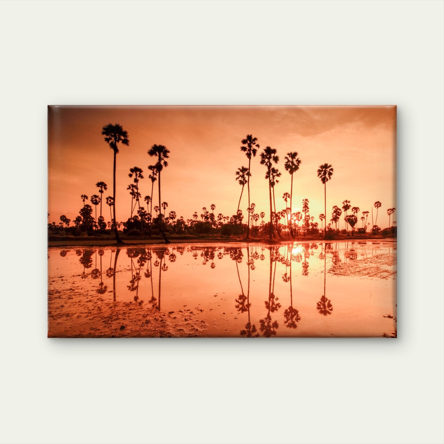 Golden reflection of sugar palm trees in Pathum Thani, Thailand  Wall Art Decor 100% Australian Made