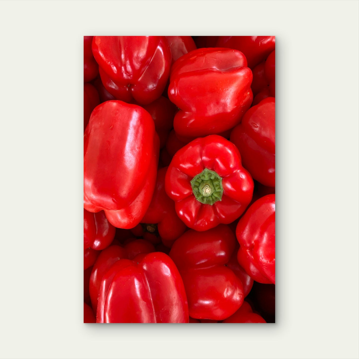 Pile of Fresh Red Bell Peppers 40x60cm Metal Print Ready to Hang