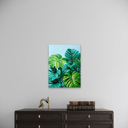 Tropical Plant Art Monstera Art 60x90cm Metal Print Ready to Hang
