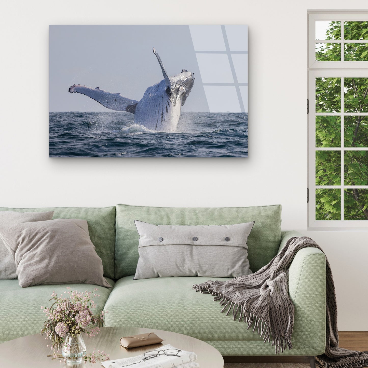 Breaching Humpback Whale Ocean Splash Acrylic Glass Printing Wall Art Australian Made Quality