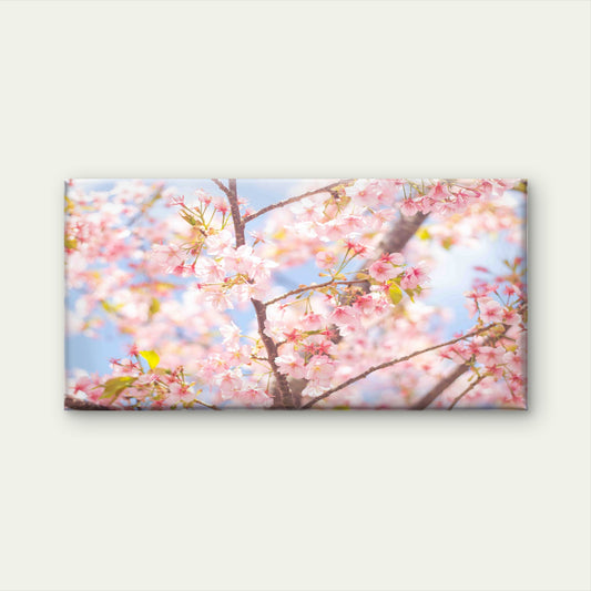 Cherry Blossoms In Sunlight Wall Art Canvas Office Home Room Framed 120x60cm