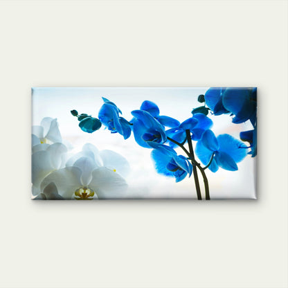 Blue And White Orchid Flowers Wall Art Canvas Office Home Room Framed 120x60cm