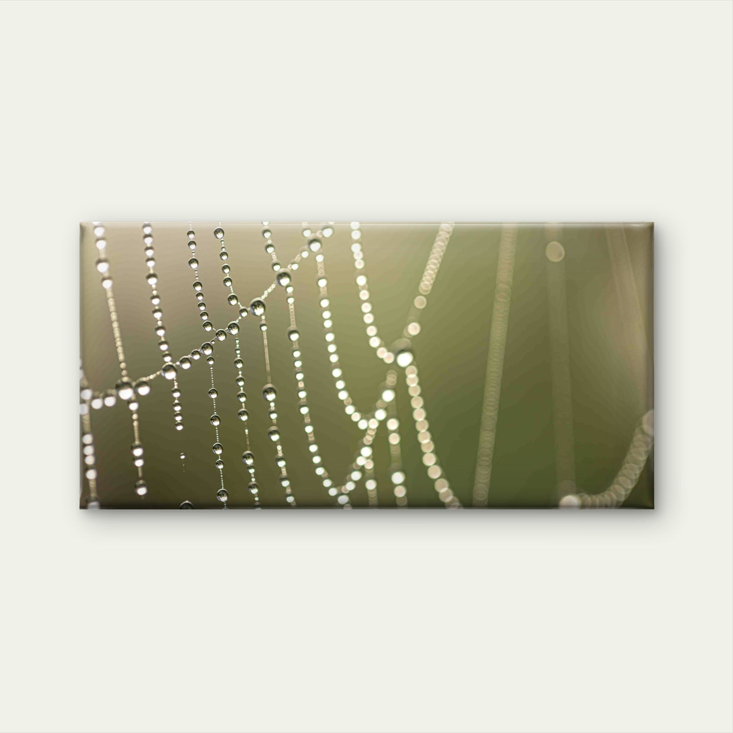 Macro View of Dewy Spider Web Wall Art Canvas Office Home Room Framed 120x60cm - Bella Home Decor