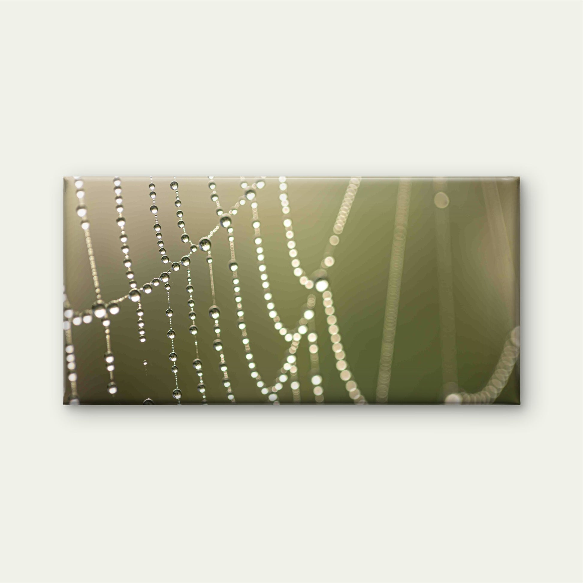Macro View of Dewy Spider Web Wall Art Canvas Office Home Room Framed 120x60cm - Bella Home Decor