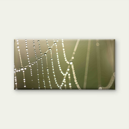 Macro View of Dewy Spider Web Wall Art Canvas Office Home Room Framed 120x60cm - Bella Home Decor