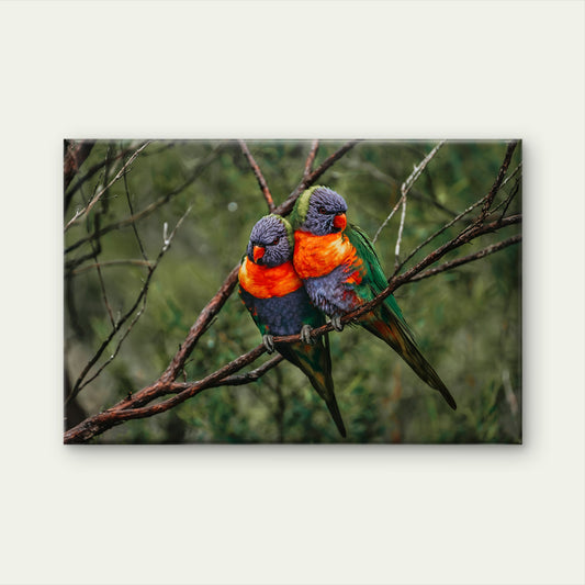 Rainbow Lorikeet Northern Queensland Wall Art Decor 100% Australian Made - Bella Home Decor